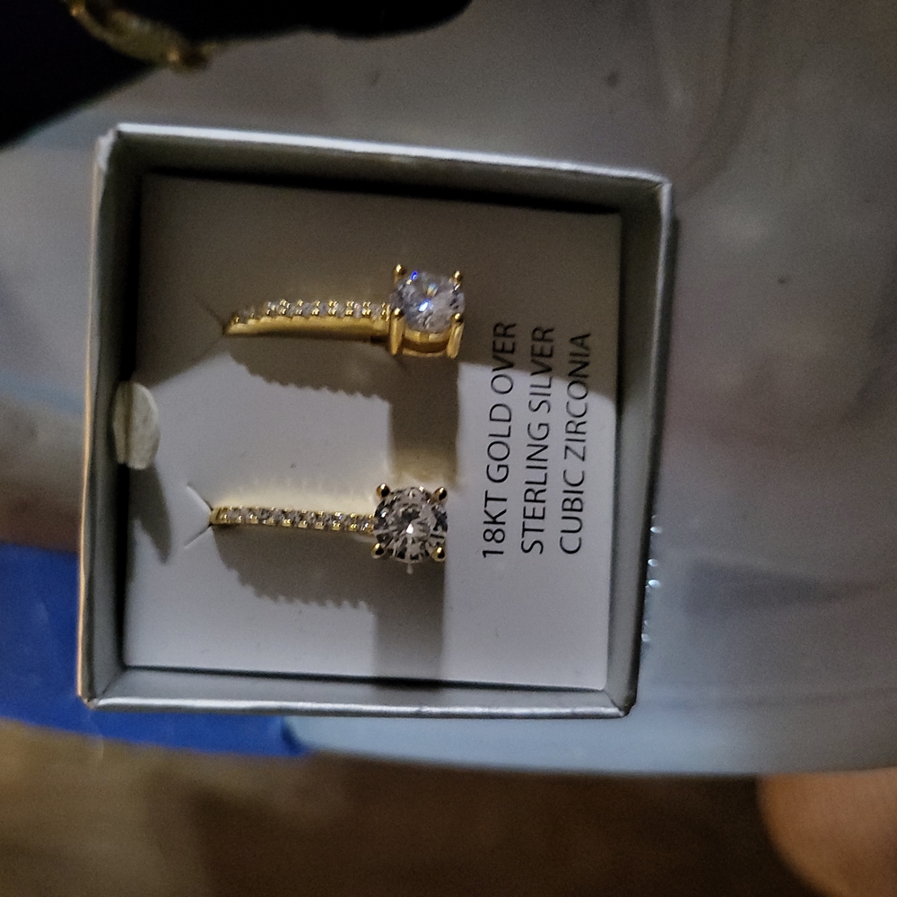 Ladies earrings